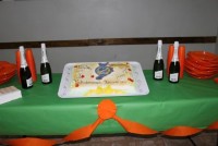ROSSANO CS 28-01-2015 28